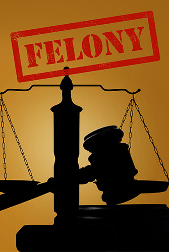 Image of Scales and a gavel with FELONY logo for 1020 LIFE STATUTE