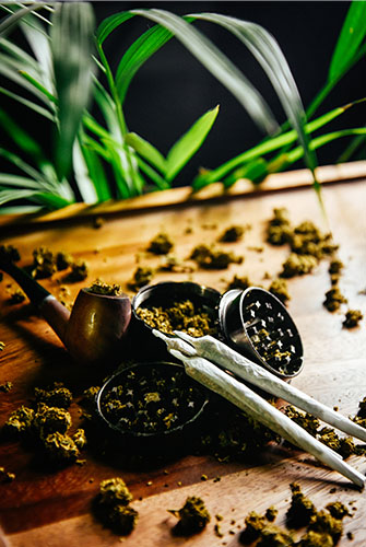 Image of marijuana plant, and paraphernalia for Marijuana Crime page
